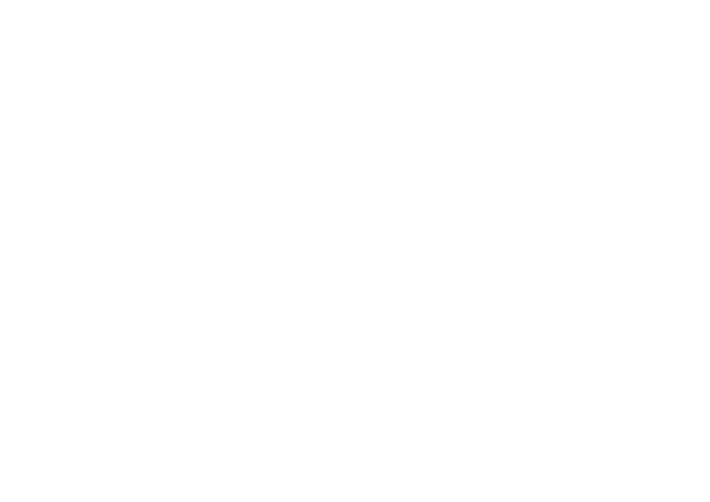 ConoSur Asset Management